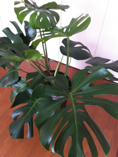 image-20120917150055.png