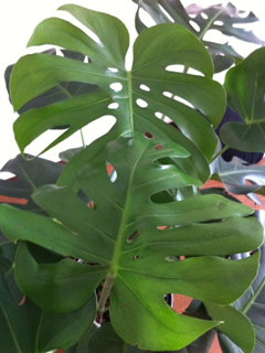 image-20120917150425.png