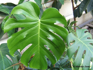 image-20120917154631.png