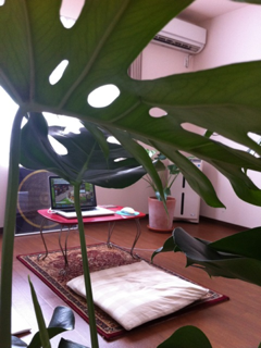 image-20120917155055.png